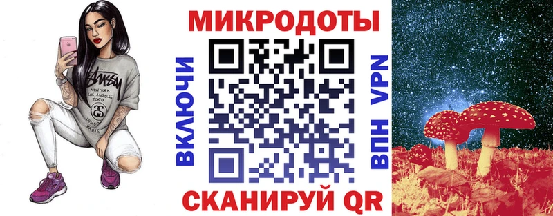 Псилоцибиновые грибы Psilocybe  где купить наркоту  Нижнеудинск 